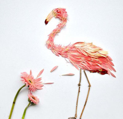 艺术家用花瓣拼接出的鸟类造型艺术品欣赏