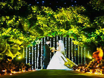 郁郁葱葱的树林为婚礼营造自然氛围